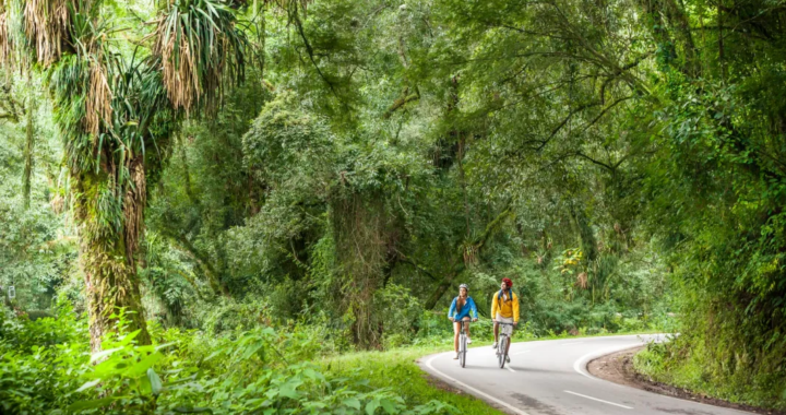 Salta, un destino elegido por los amantes del ciclismo de aventura