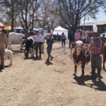 Expo Rural Salta 2026: cinco días de campo, tradición y actividades para toda la familia