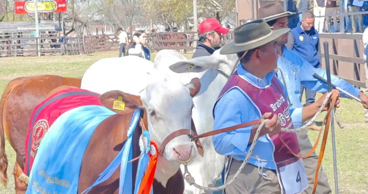 La Expo Rural Salta celebra su 82° edición con campo, tradición y actividades para toda la familia