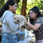 Vacunación antirrábica gratuita: el operativo recorrerá barrios de la zona sudeste