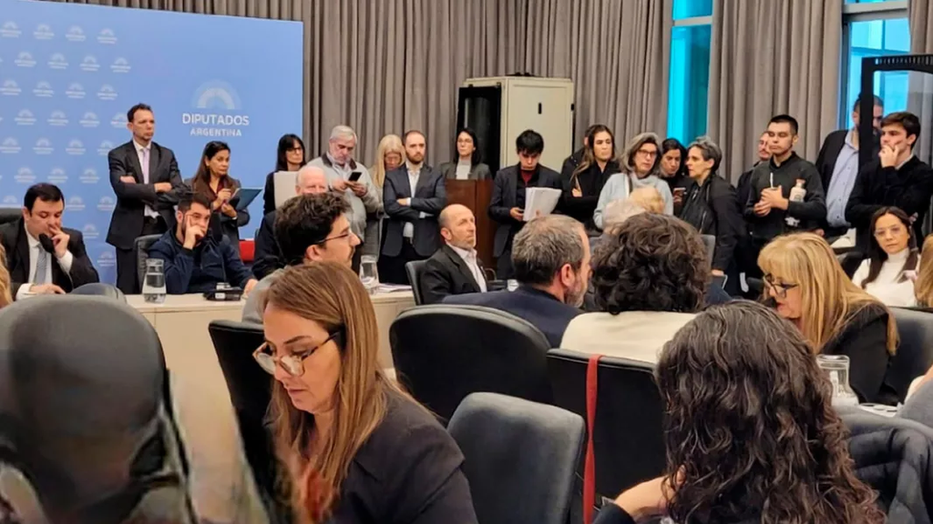 Salta denunció en el Congreso la demora en las pensiones por discapacidad