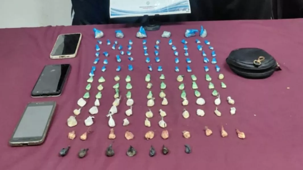 Golpe al narcomenudeo en Salta: secuestraron más de 120 mil dosis de droga en una semana